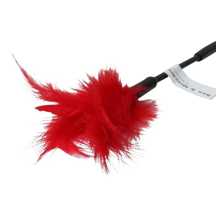 Anal WIL Sex Mischief Feather Tickler Red or Black