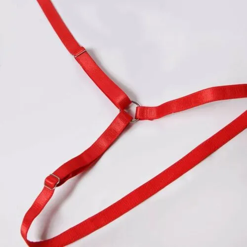 HotPinkSexyShop Vibrators COMPLETINO INTIMO SEXY ROSSO LINGERIE SAN VALENTINO REGGISENO MUTANDINE ROSSE