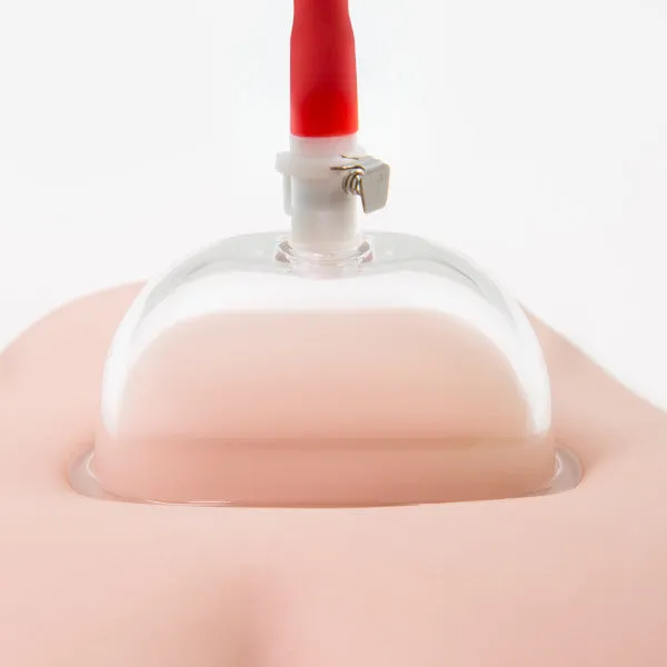 Temptasia Advanced Pussy Pump System Blush Novelties Male Sex Toys